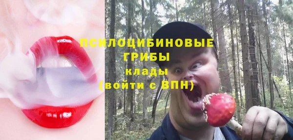 винт Алексин
